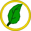 Greenvine Jungle Your Story