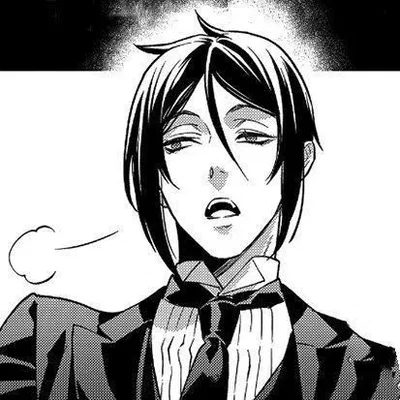 Sebastian Michaelis 