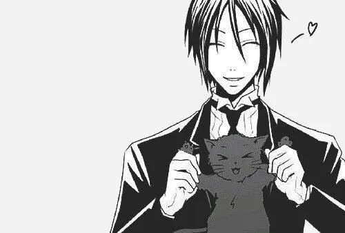 Sebastian Michaelis 