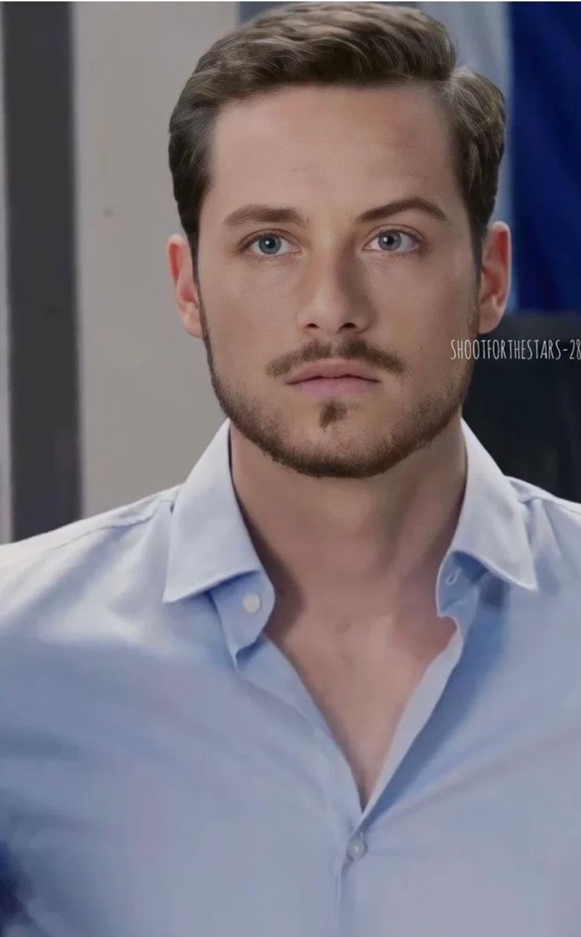 Jay Halstead