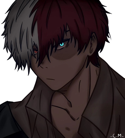 Shoto Todoroki 
