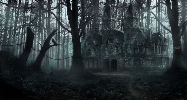Slender Mansion