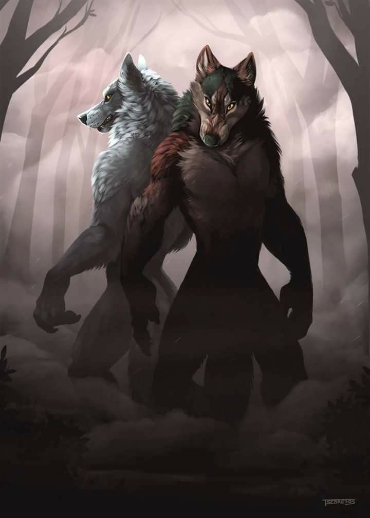 Aloric & Rook