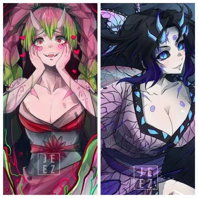 Mitsuri and Shinobu(Demons)