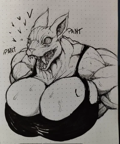 Sable - arrogant hairless kitty