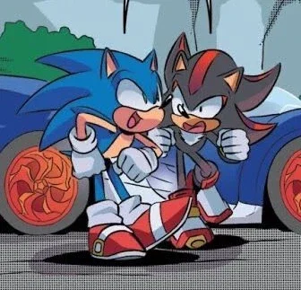 Sonic and Shadow