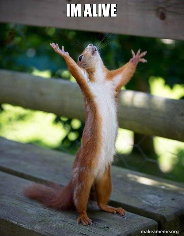 Don’t worry yall! I’m alive and still breathing!