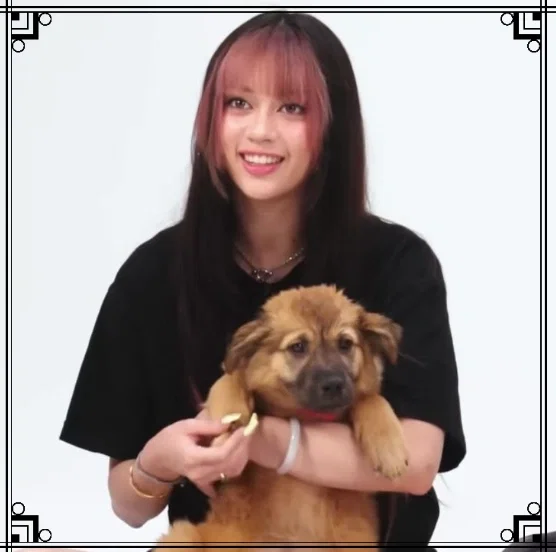 ‧ ̊꒰🐾୭  ̊ MEGAN SKIENDIEL ‧ ̊꒰🐾୭  ̊