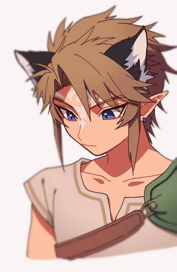 Twilight Link~ Roommate/Modern AU