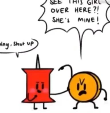 Break of BFDI (18+)