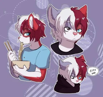 Shouto Todoroki