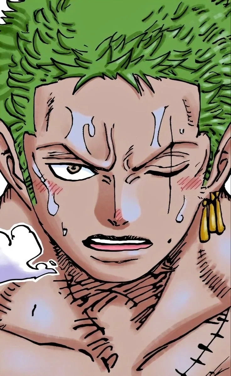 Zoro Roronoa 