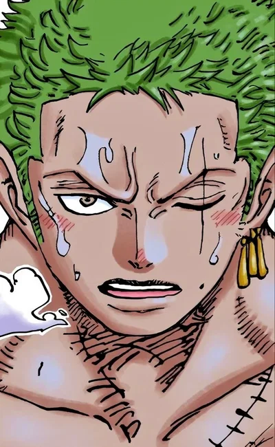 Zoro Roronoa 