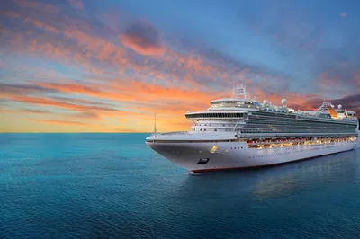Seaduction Cruiselines