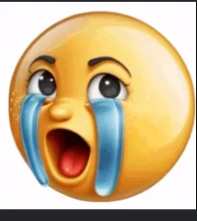 i must leave in one day (tomorrow)