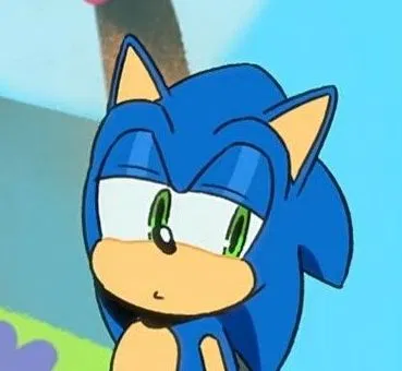 •sonic the hedgehog•