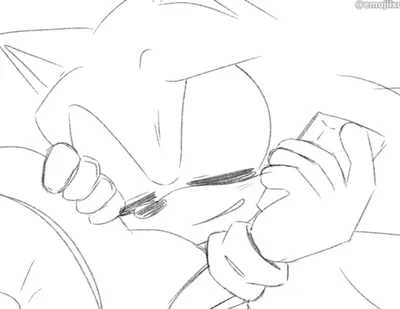 Sonic T. Hedgehog