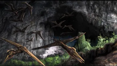 Quetzalcoatlus