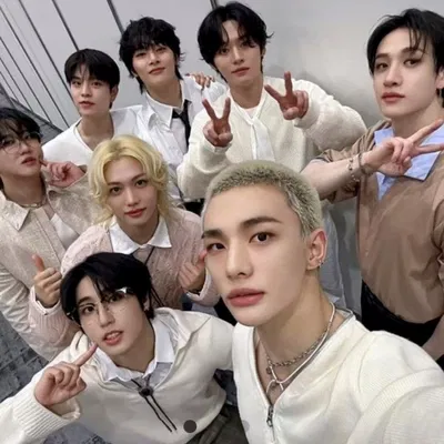 Stray Kids 9th member