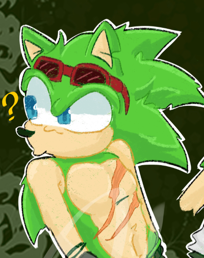 Scourge the Hedgehog!!️!!️