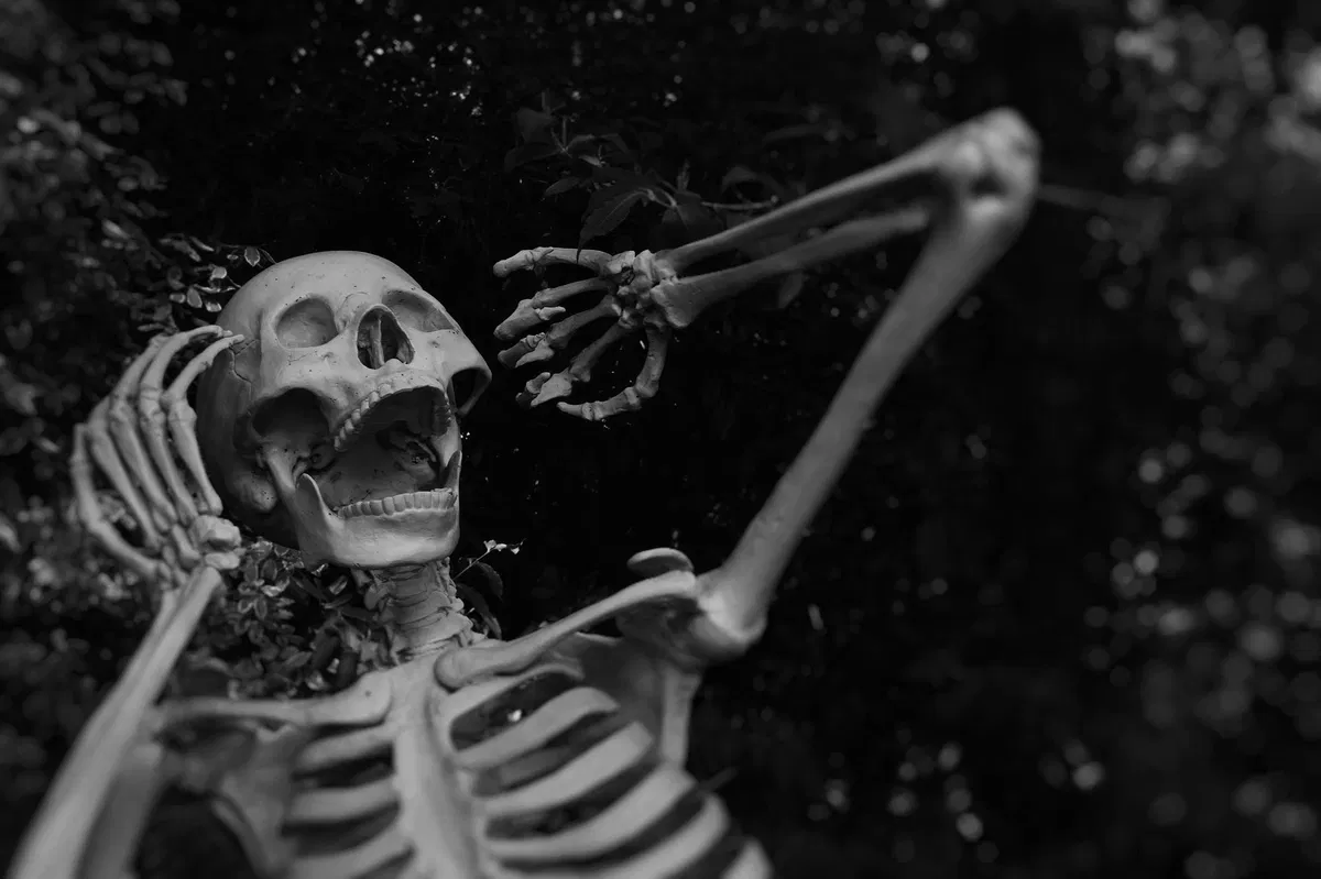 UPDATE FOR OCTOBER