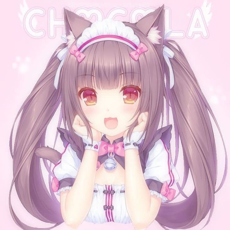 Chocola Minaduki (Nekopara)