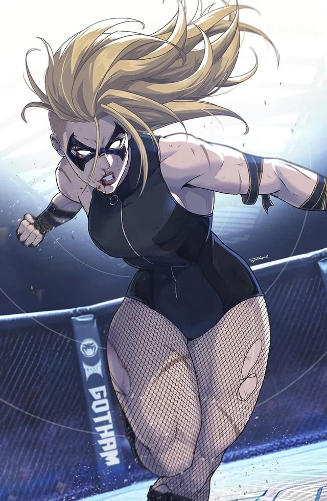 Black Canary (Dinah Lance)