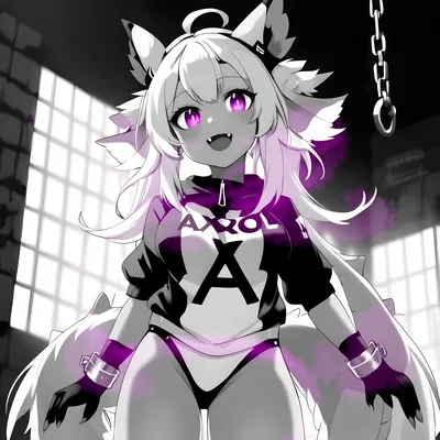 Axxo