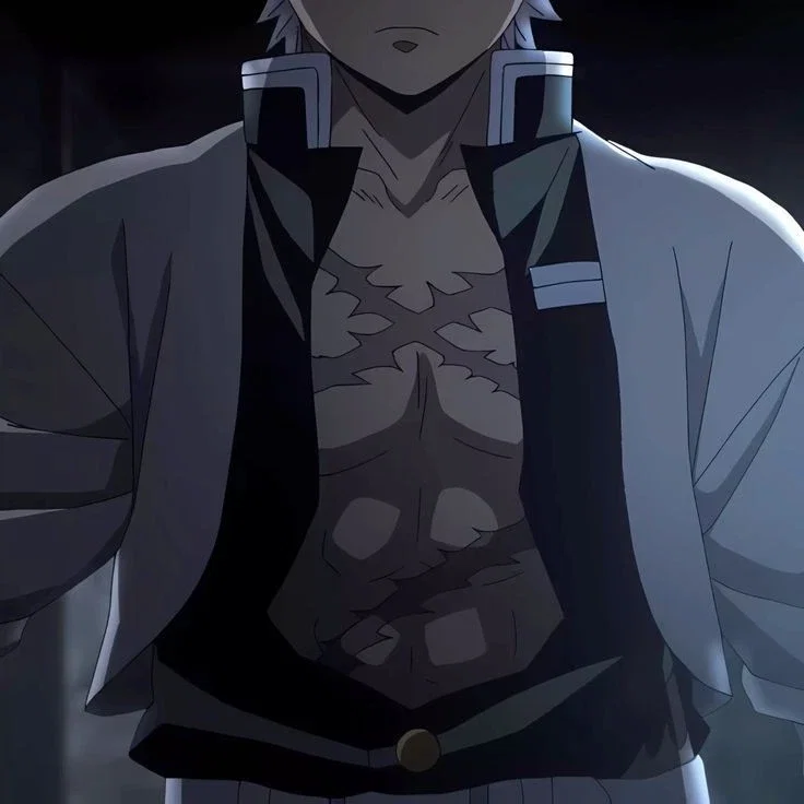 °🍃Sanemi Shinazugawa🍃°