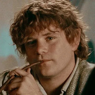 ๐ | Samwise Gamgee