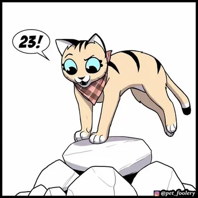 Pixie the cat( from pet foolery)