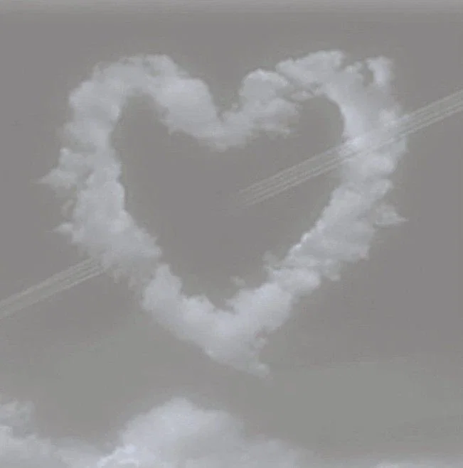 MY BELOVED