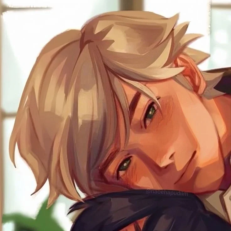Adrien agreste-😼🐈‍⬛