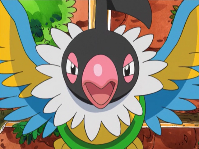 Chatot - PMD