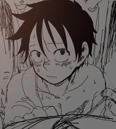 Drunk! —— Monkey D. Luffy