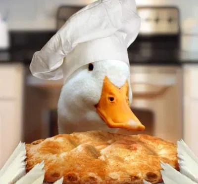 -.~Chef duck~.-