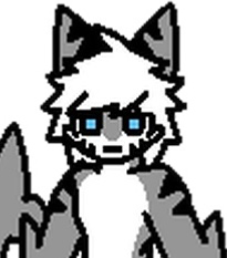 Alex, a tiger shark