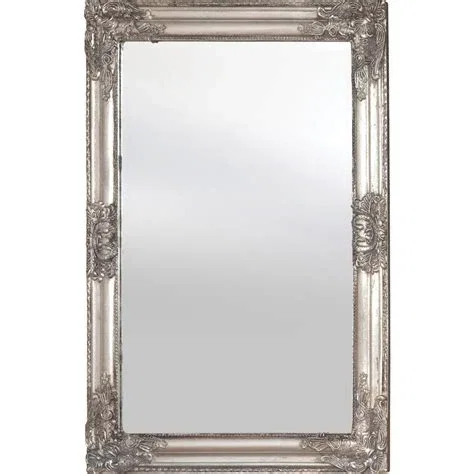 reverse mirror