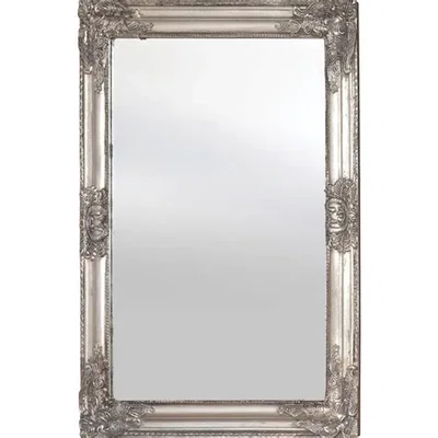 reverse mirror