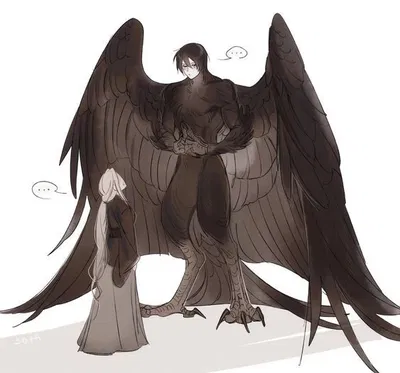 DLMB Harpy