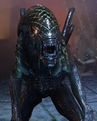 Grid (Xenomorph)