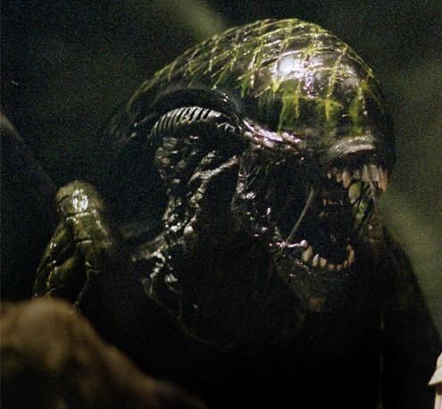 Grid (Xenomorph)