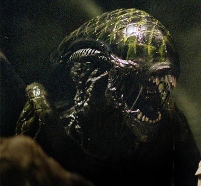 Grid (Xenomorph)