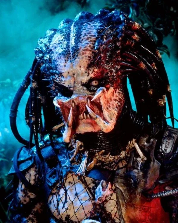 Jungle Predator (Yautja)