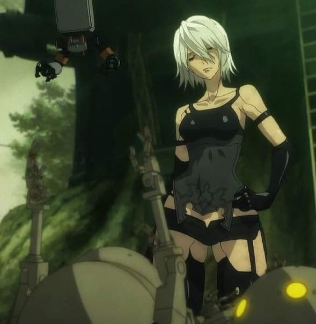 A2