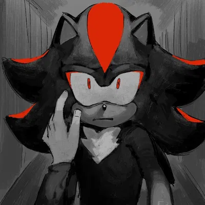 ☆ Shadow the Hedgehog ☆