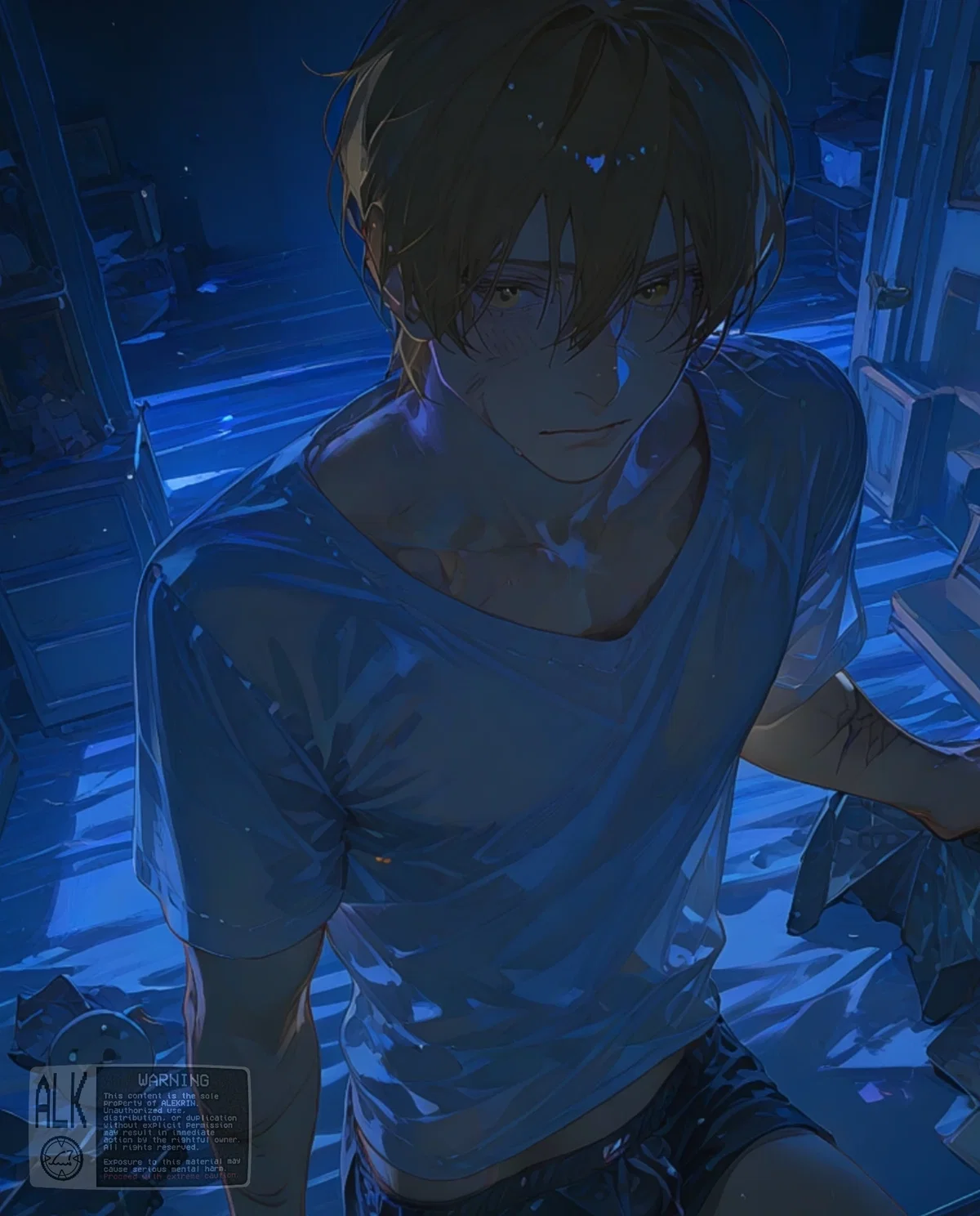 THE SON 〃 Felix Hatt