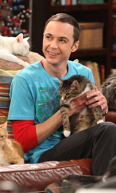 Sheldon Cooper