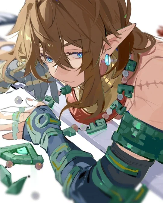 Link [DOUBLE-LIFE HERO] || NSFW