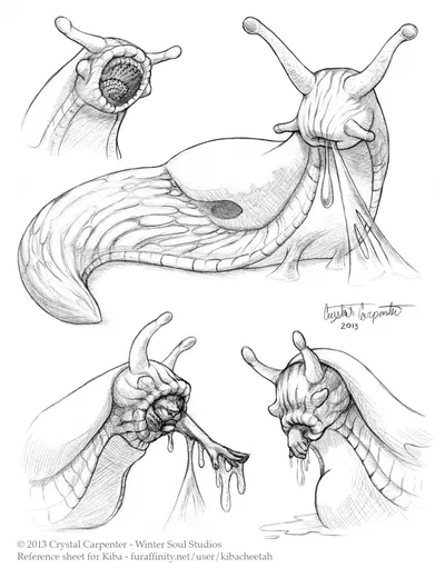 Giant slug